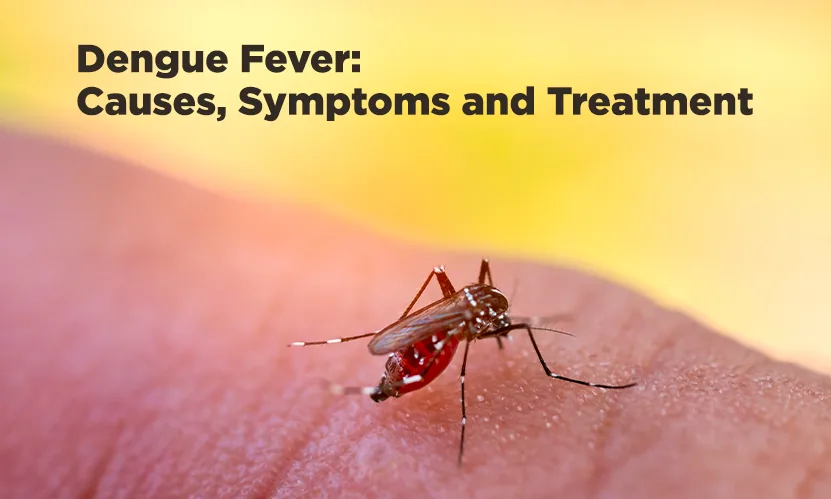 Dengue या Viral Fever? बुखार को सामान्य समझकर न करें नजरअंदाज, इन संकेतों पर तुरंत दें ध्यान