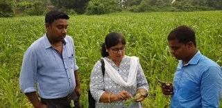 कीटनाशकों के सुरक्षित उपयोग हेतु रक्षा कवच पर प्रशिक्षण