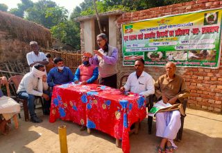 WhatsApp Image 2020 11 25 at 3.20.03 PM