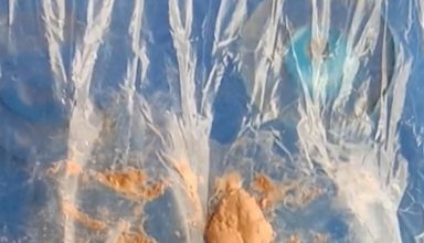 WhatsApp Image 2021 02 05 at 2.57.39 PM