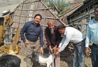 WhatsApp Image 2021 03 21 at 4.32.38 PM