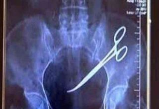 WhatsApp Image 2021 03 21 at 9.51.46 PM