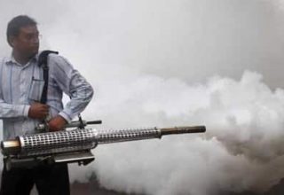 dengue home remedy 1537279756