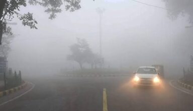 Heavy fog on a rural road in सीमांचल लाइव, creating low visibility and atmospheric weather conditions.